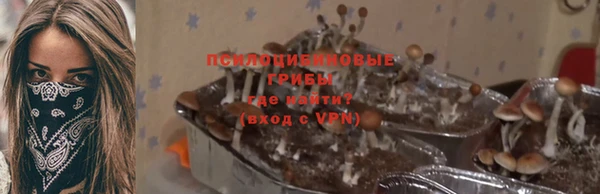 эйфоретик Каменка