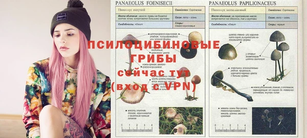 твердый Каменногорск