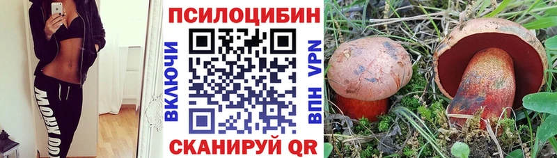 Галлюциногенные грибы Psilocybe  Купить где  Жигулёвск 