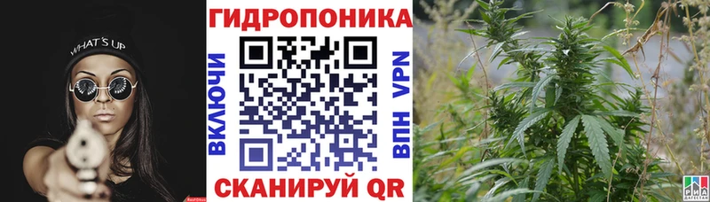 Купить  Жигулёвск  Конопля SATIVA & INDICA 